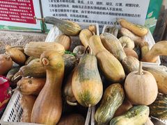 -丹樱生态园
