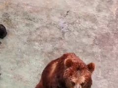 -深圳野生动物园