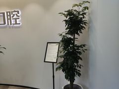 -牙博士口腔品牌连锁(杨浦店)