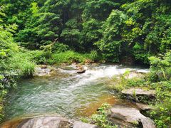 -广州市石门国家森林公园