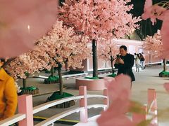 -金茂览秀城