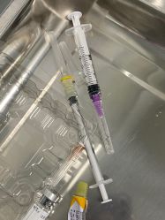 -温州伯思立医院