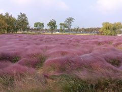 -嘉北郊野公园