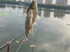 -松花湖风景名胜区