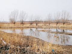 -绿堤公园