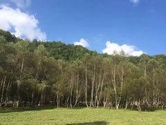 -大水川景区