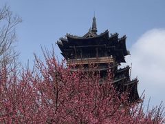 -杭州半山国家森林公园