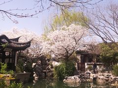 -巡塘古镇