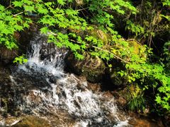 -藏龙百瀑风景区