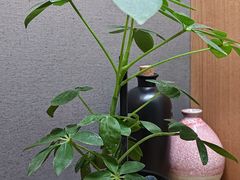 -静一餐厅·湖北菜(前门店)