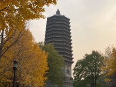 -玲珑塔公园