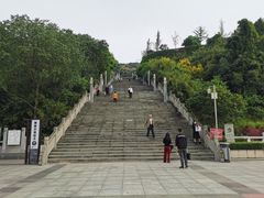 -铁山坪森林公园