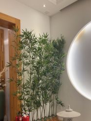 -依灵瑜伽普拉提连锁