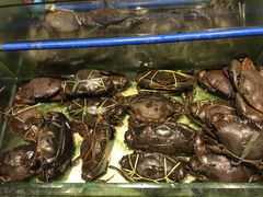 -Isla Sugbu Seafood City