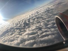 -湄公河秘制烤鱼(西双十贰城商业中心店)