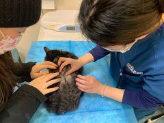 -萌兽医馆·犬猫专科·眼科中心·宠物医院(朝阳门分院)