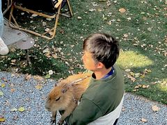 -J Create城市露营咖啡·简餐·宠物(上海动物园店)