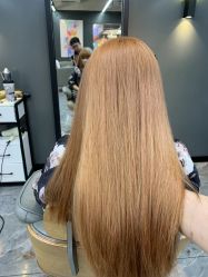 点击看大图 -藤野造型