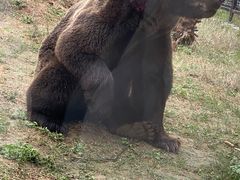 -祥源·阜阳生态乐园