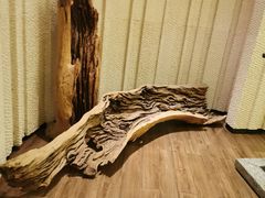 -柚·日式料理-富力万丽酒店