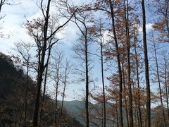 -藏龙百瀑风景区