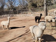 -银树楼(紫玉山庄东区店)