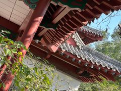 -千佛山风景名胜区