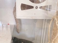 -平行世界·猫咖(首经贸店)