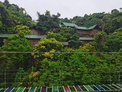 -海南槟榔谷黎苗文化旅游区