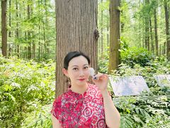 -水杉园