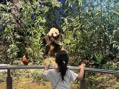 -陕西自然博物馆