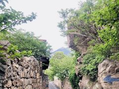 -老张烤羊(王哥庄店)