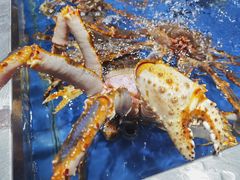 -盒马鲜生(顺义店)