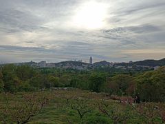 -青岛电视塔