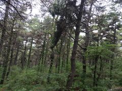 -沈阳辉山风景区