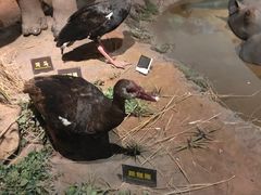 -陕西自然博物馆