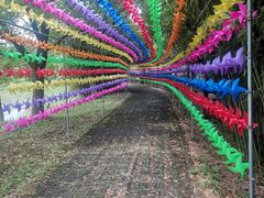 -上膳源有机农场