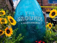 -The Grounds of Alexandria