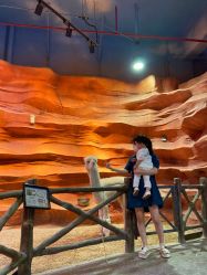 -酷嗒动物文化乐园(cutezoo西溪乐天城店)