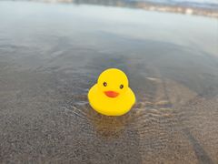 -南澳海滩