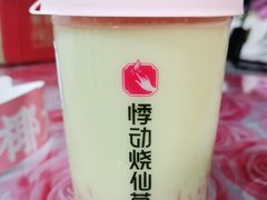 -悸动(吴泾宝龙广场店)