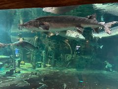 -华夏文旅海洋公园