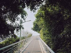 -必胜客(大梅沙8号仓店)