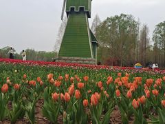-石家庄市植物园