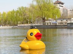 -莲花池公园