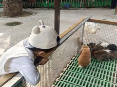 -史努比缤纷世界