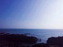 -涉地可支