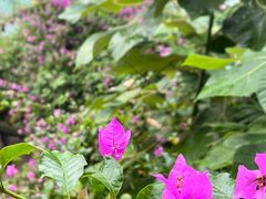 -伴山茶苑·围炉煮茶