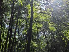 -波尔登森林公园