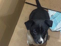 -海岸城停车场(海岸城店)